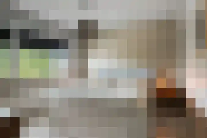 Langeweg 17 Breskens thumbnail 21