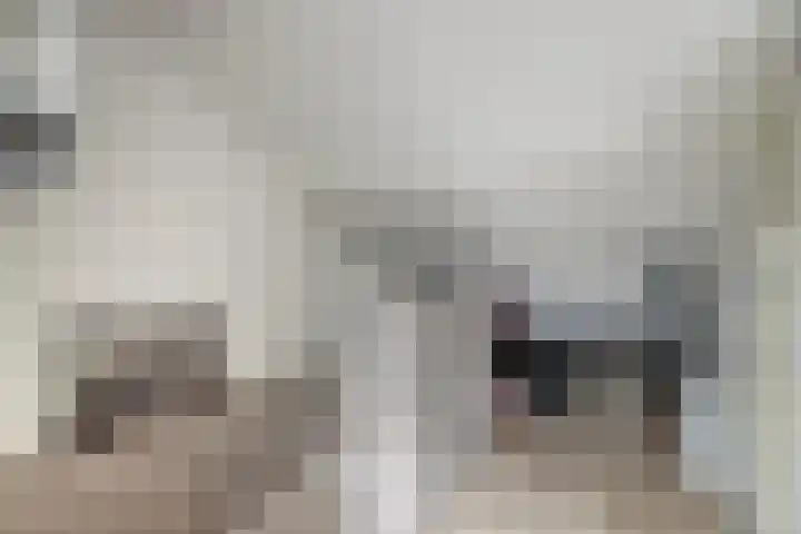 Langeweg 17 Breskens thumbnail 27