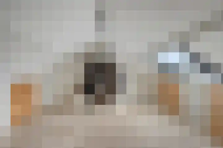 Langeweg 17 Breskens thumbnail 28
