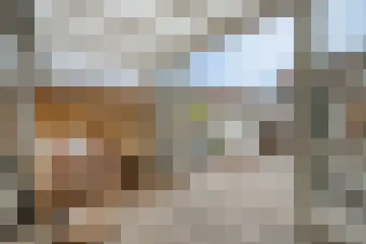 Langeweg 17 Breskens thumbnail 30
