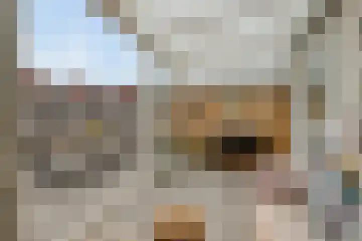 Langeweg 17 Breskens thumbnail 31