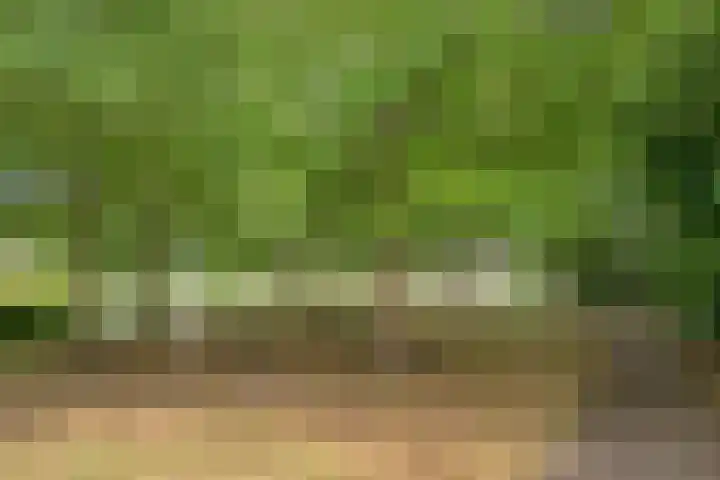 Langeweg 17 Breskens thumbnail 36