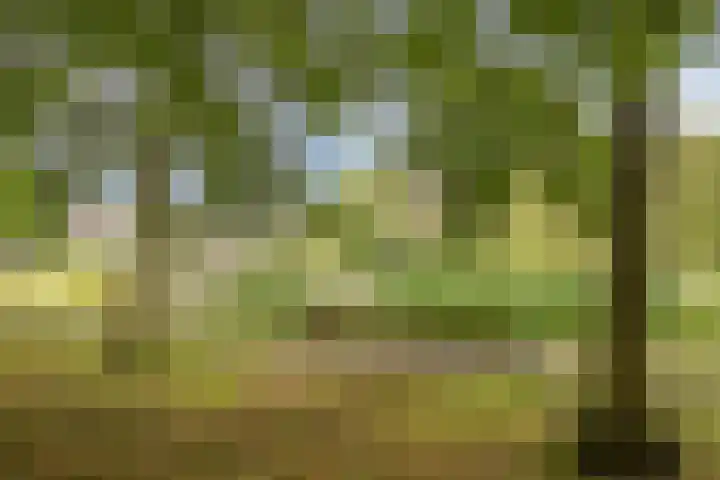 Langeweg 17 Breskens thumbnail 37