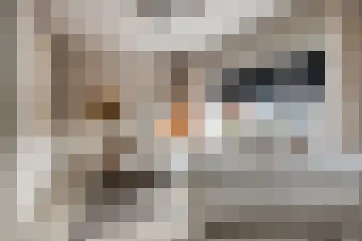 Langeweg 17 Breskens thumbnail 4