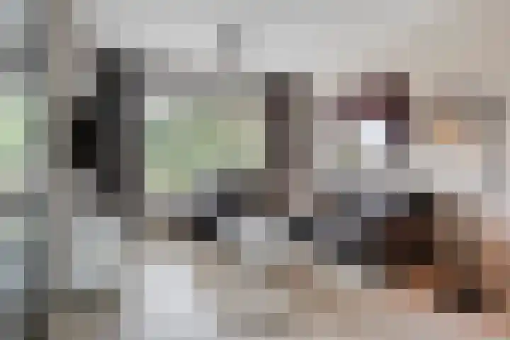 Langeweg 17 Breskens thumbnail 9