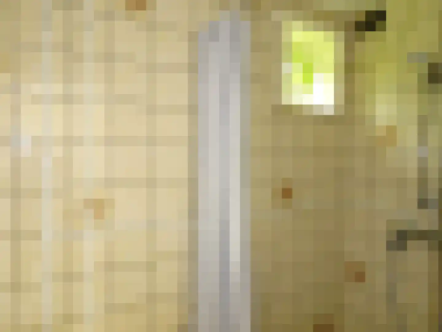 Langeweg 17 Slootdorp thumbnail 4