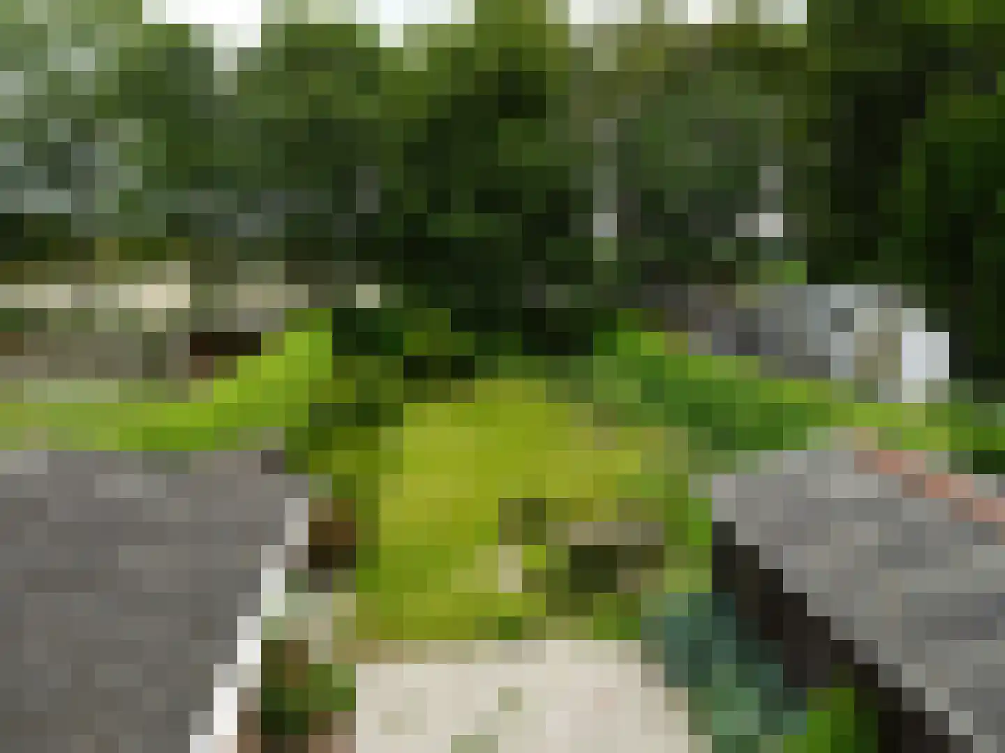 Langeweg 17 Slootdorp thumbnail 5