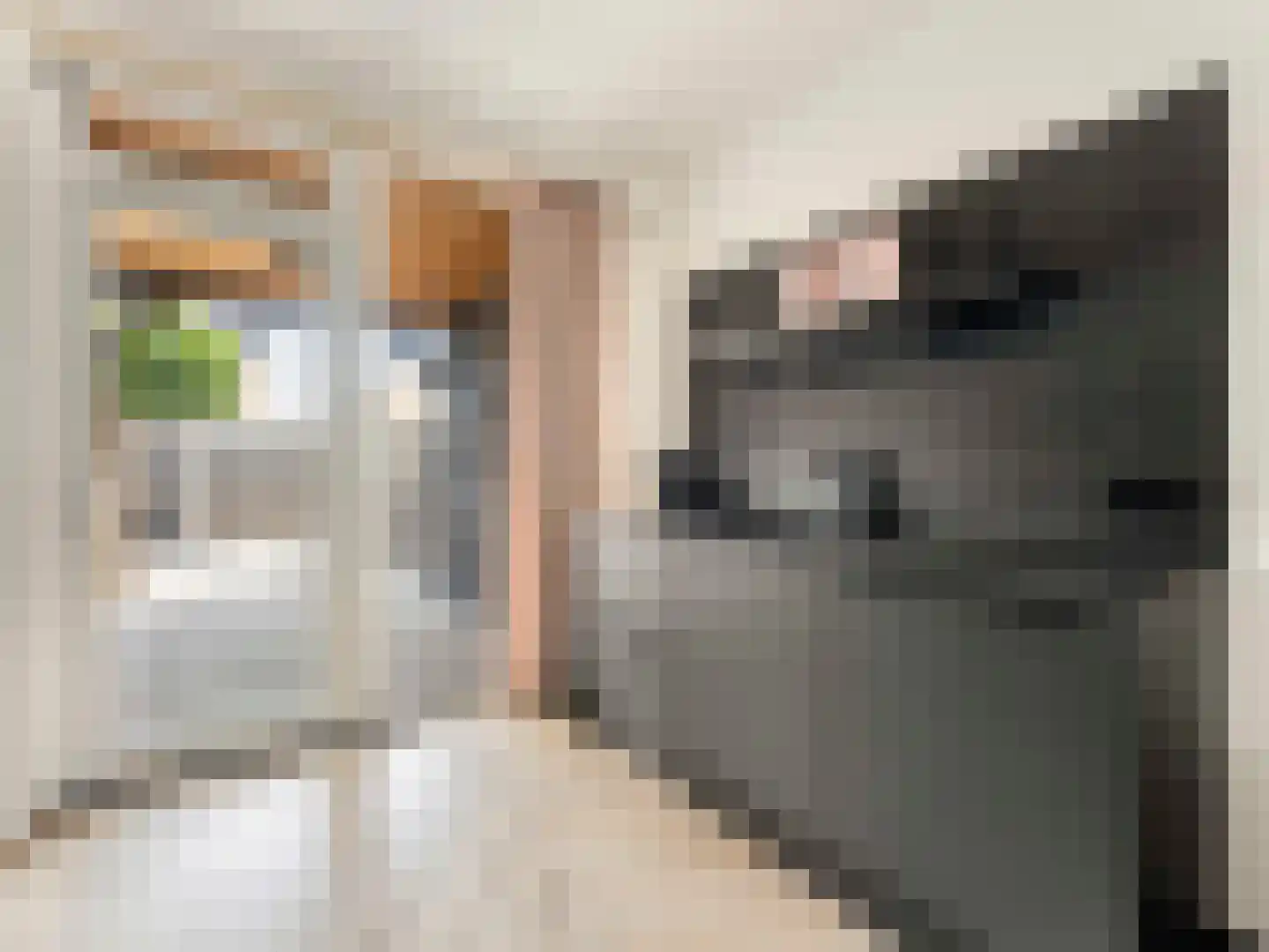 Langeweg 17 Vianen thumbnail 17