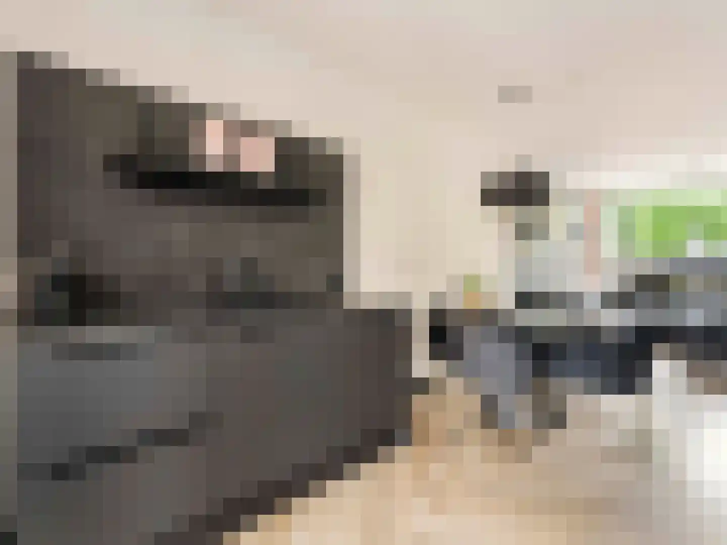 Langeweg 17 Vianen thumbnail 19