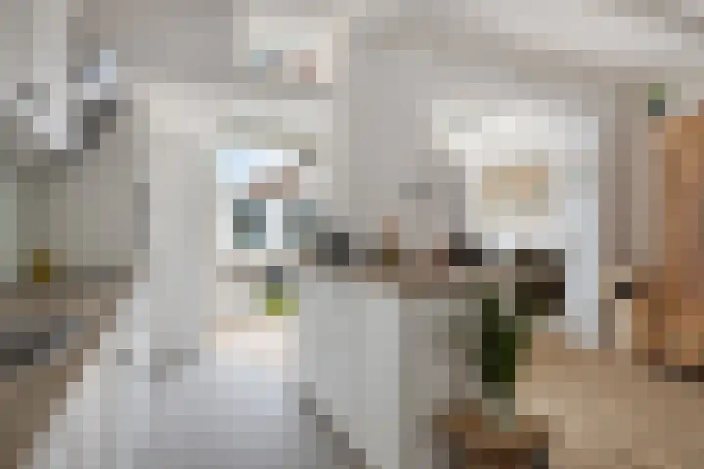 Langeweg 21 Bergen op Zoom thumbnail 18