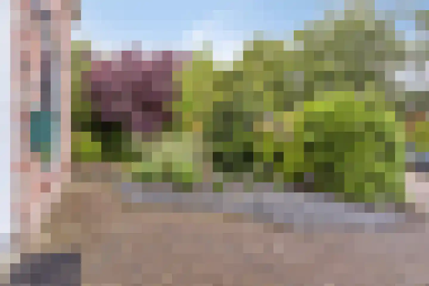 Langeweg 21 Bergen op Zoom thumbnail 34