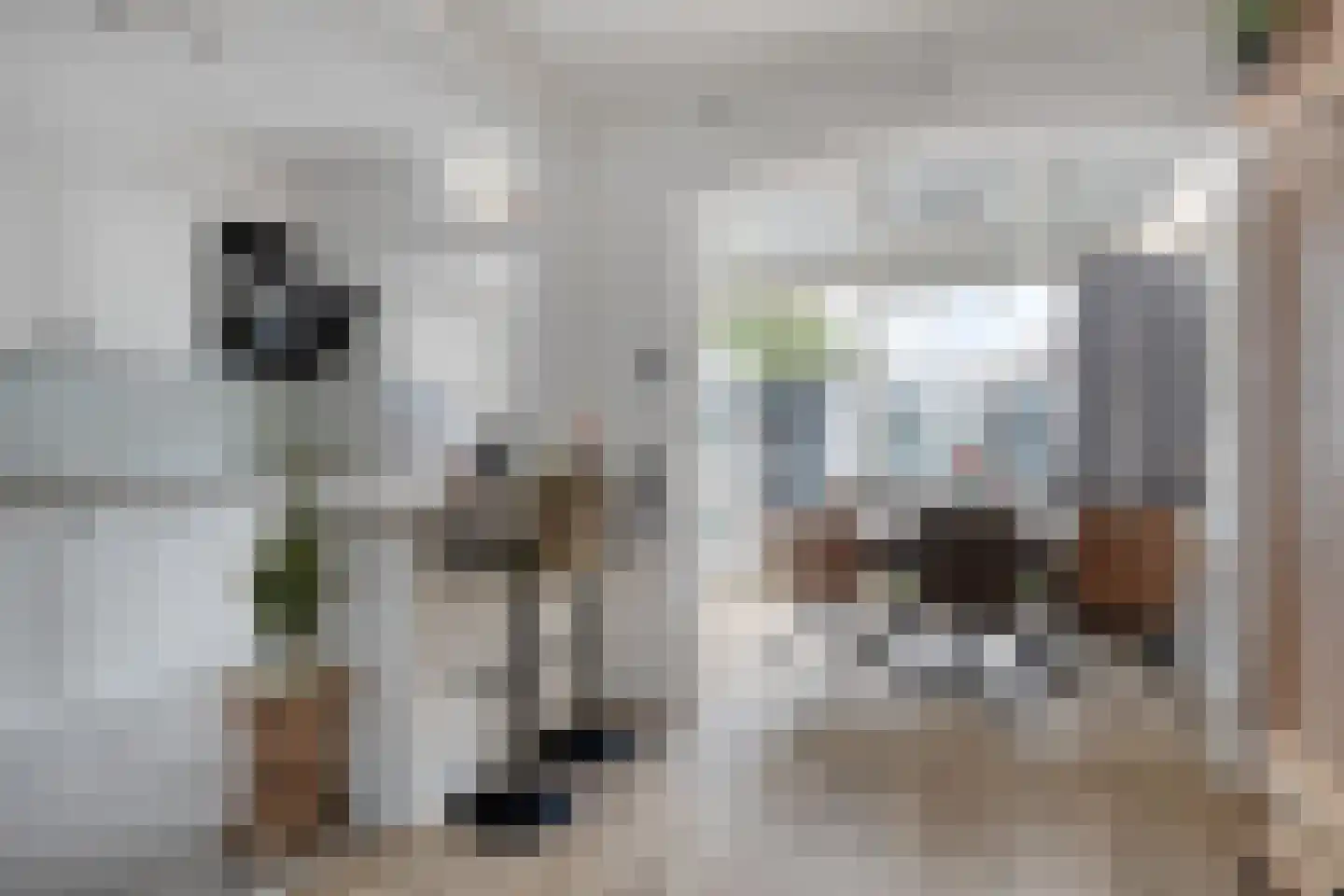 Langeweg 21 Bergen op Zoom thumbnail 4