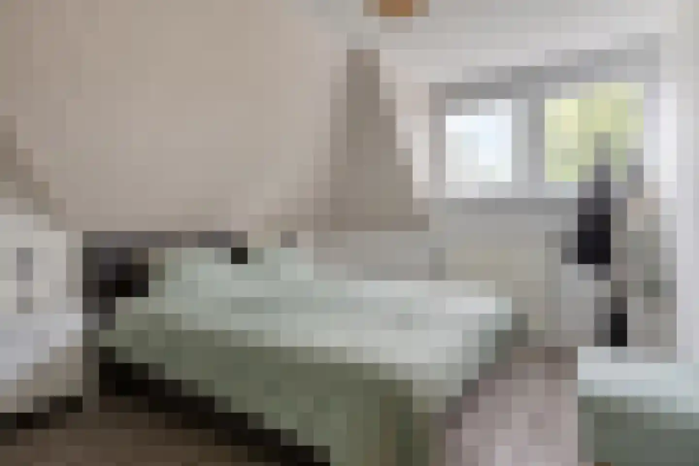 Langeweg 21 Bergen op Zoom thumbnail 6