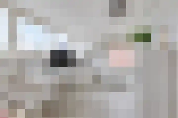Langeweg 22 b Roelofarendsveen thumbnail 16