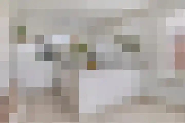 Langeweg 22 b Roelofarendsveen thumbnail 8