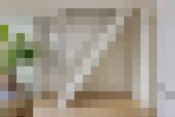 Langeweg 22 Roelofarendsveen thumbnail 13