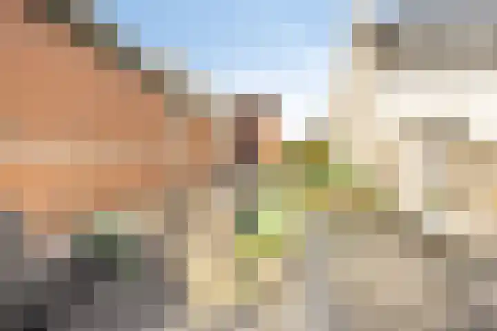 Langeweg 22 Roelofarendsveen thumbnail 15
