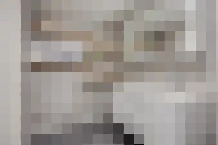 Langeweg 22 Roelofarendsveen thumbnail 8
