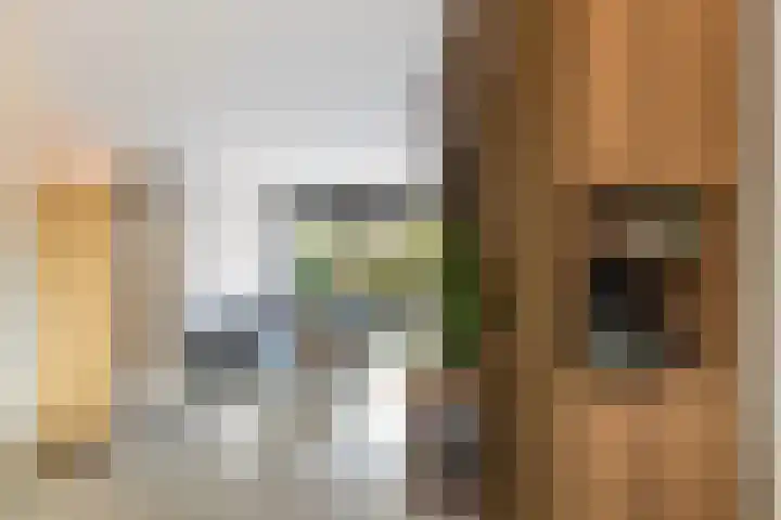 Langeweg 25 Apeldoorn thumbnail 11