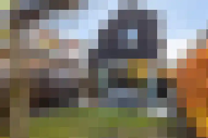 Langeweg 25 Apeldoorn thumbnail 33
