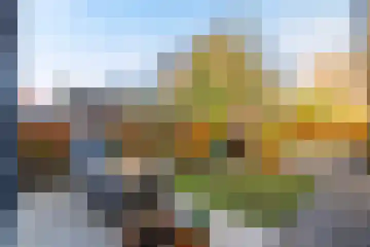 Langeweg 25 Apeldoorn thumbnail 34
