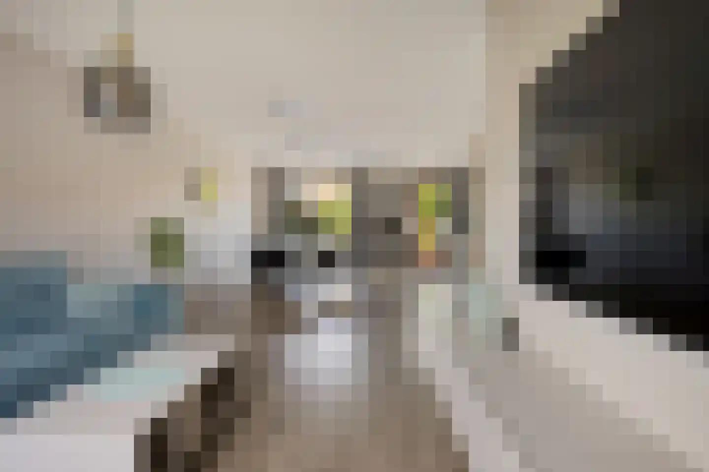 Langeweg 26 Slootdorp thumbnail 13