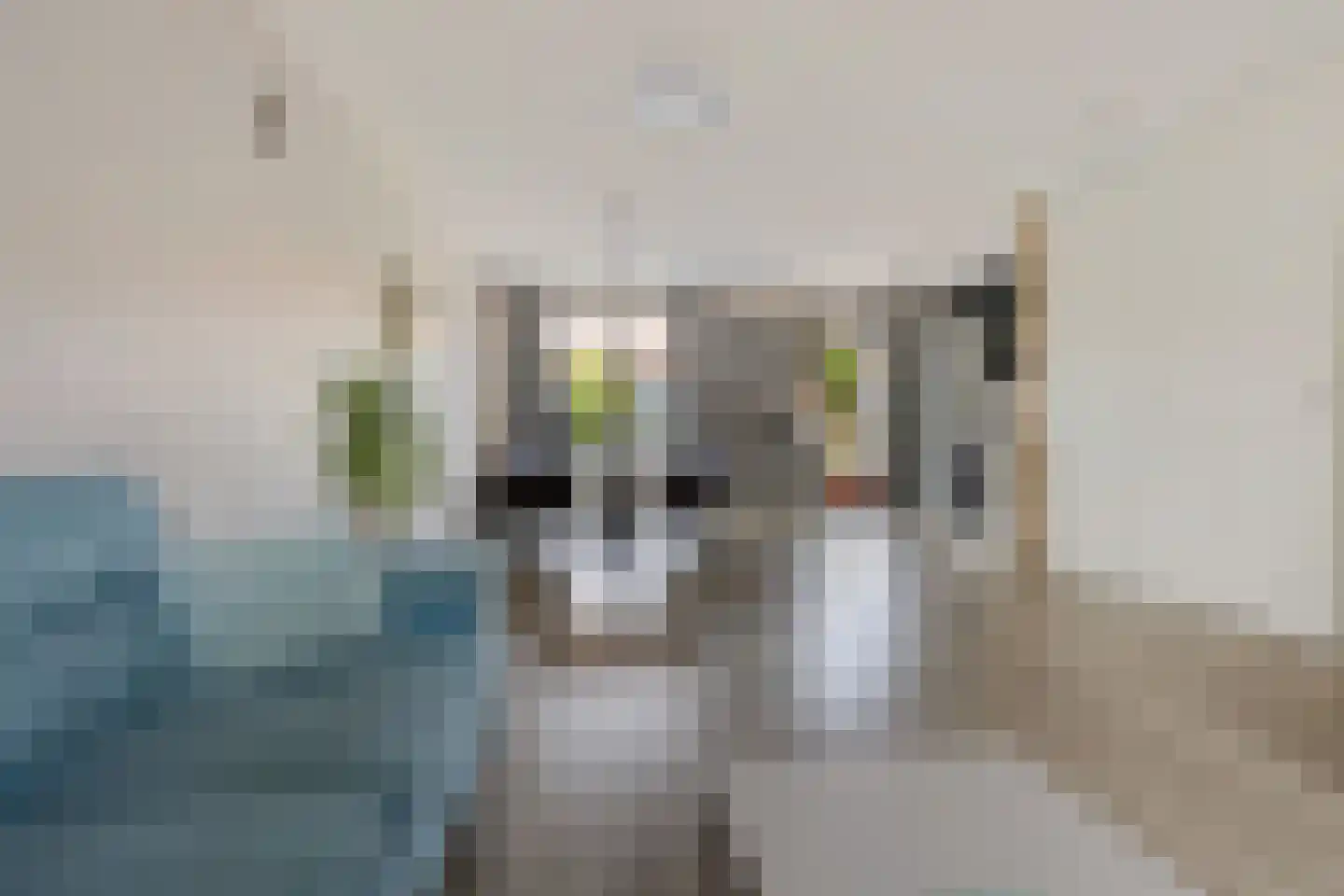 Langeweg 26 Slootdorp thumbnail 15
