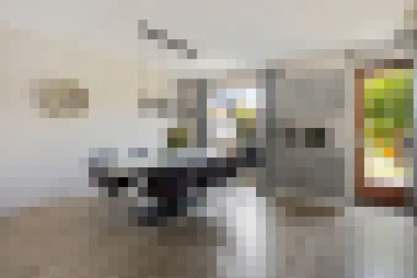 Langeweg 26 Slootdorp thumbnail 22