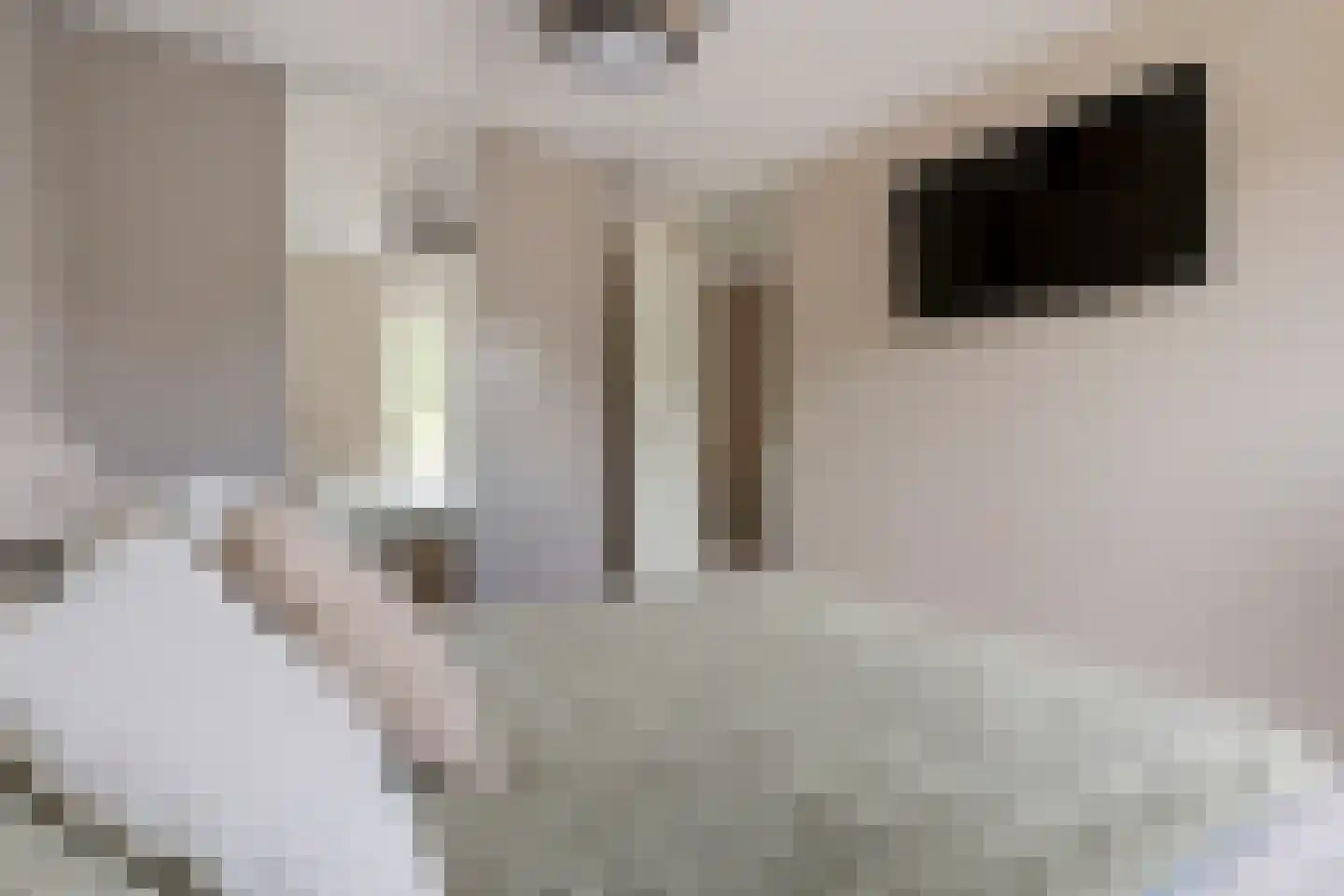 Langeweg 26 Slootdorp thumbnail 24