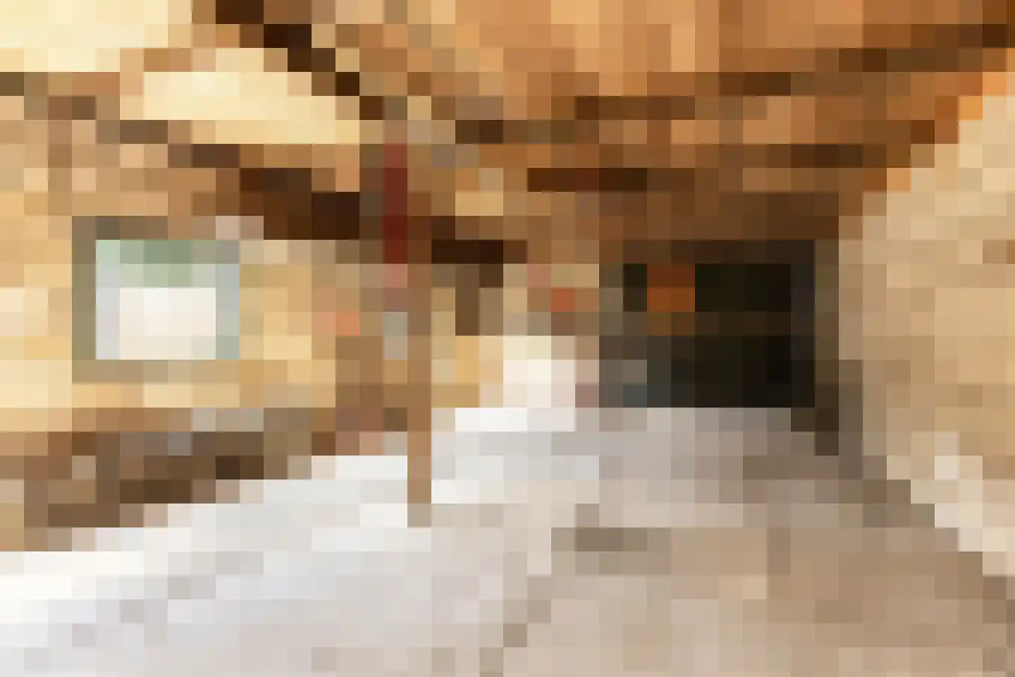 Langeweg 27 Grootegast thumbnail 25