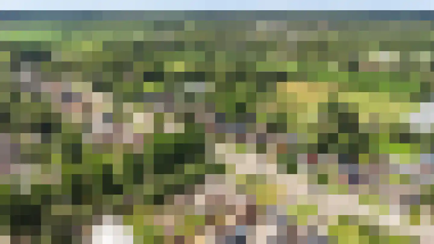 Langeweg 27 Grootegast thumbnail 35