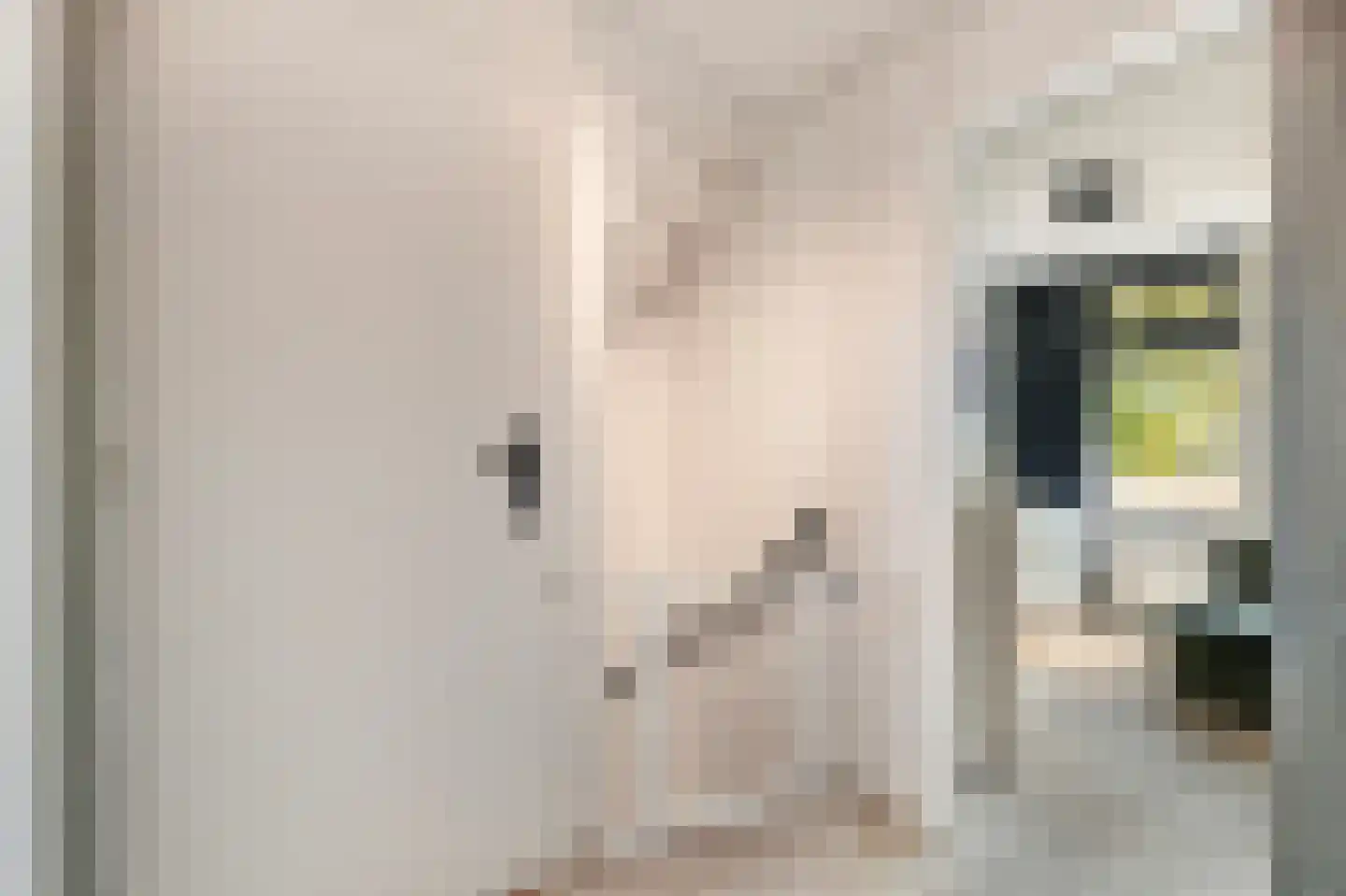 Langeweg 27 Slootdorp thumbnail 28
