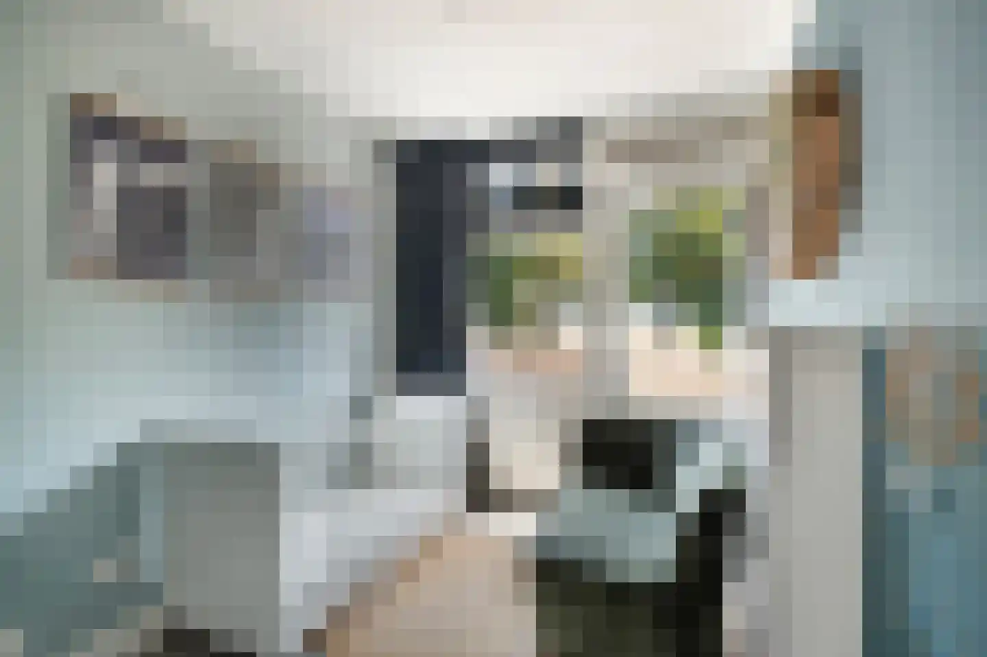 Langeweg 27 Slootdorp thumbnail 35