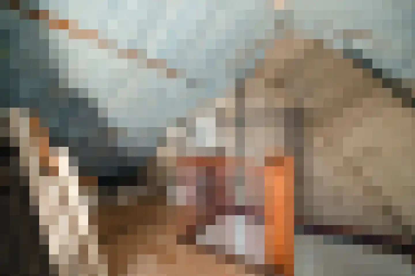 Langeweg 27 Slootdorp thumbnail 42