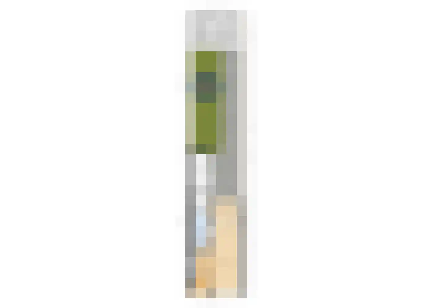 Langeweg 27 Slootdorp thumbnail 50