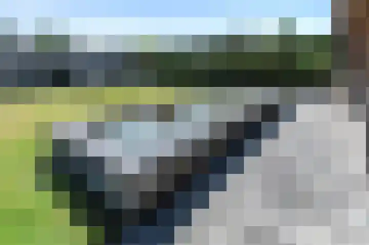 Langeweg 28 Kruisland thumbnail 50