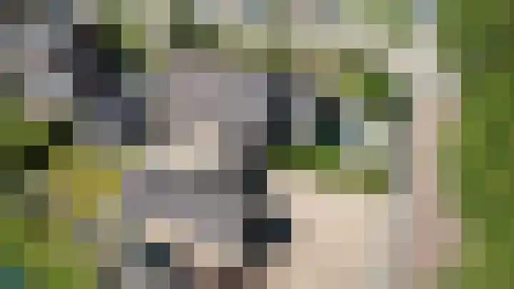 Langeweg 28 Kruisland thumbnail 60