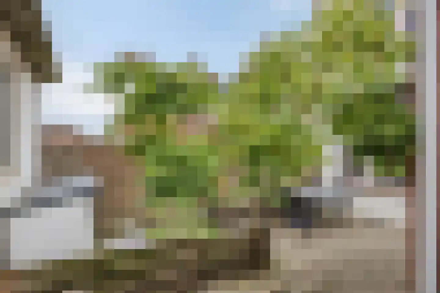 Langeweg 29 Bergen op Zoom thumbnail 25