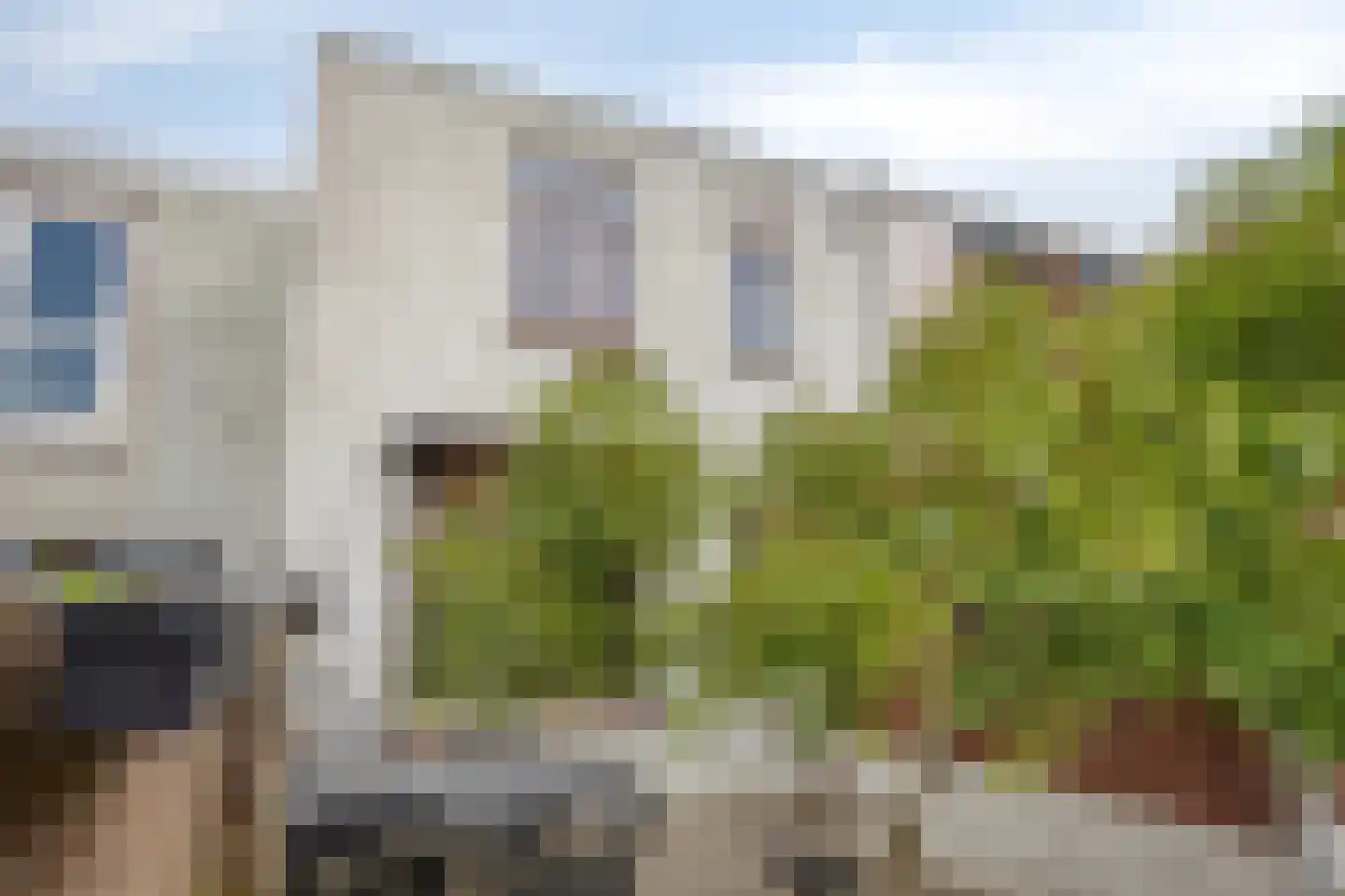 Langeweg 29 Bergen op Zoom thumbnail 27