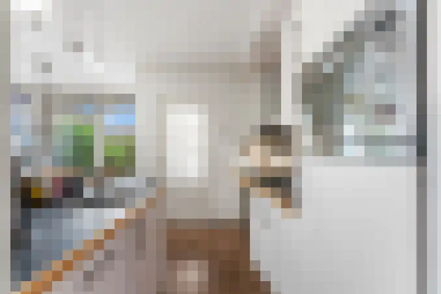 Langeweg 300 Zwijndrecht thumbnail 18