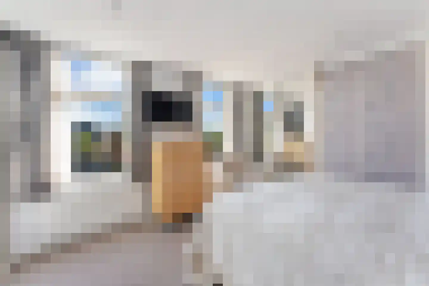 Langeweg 300 Zwijndrecht thumbnail 24