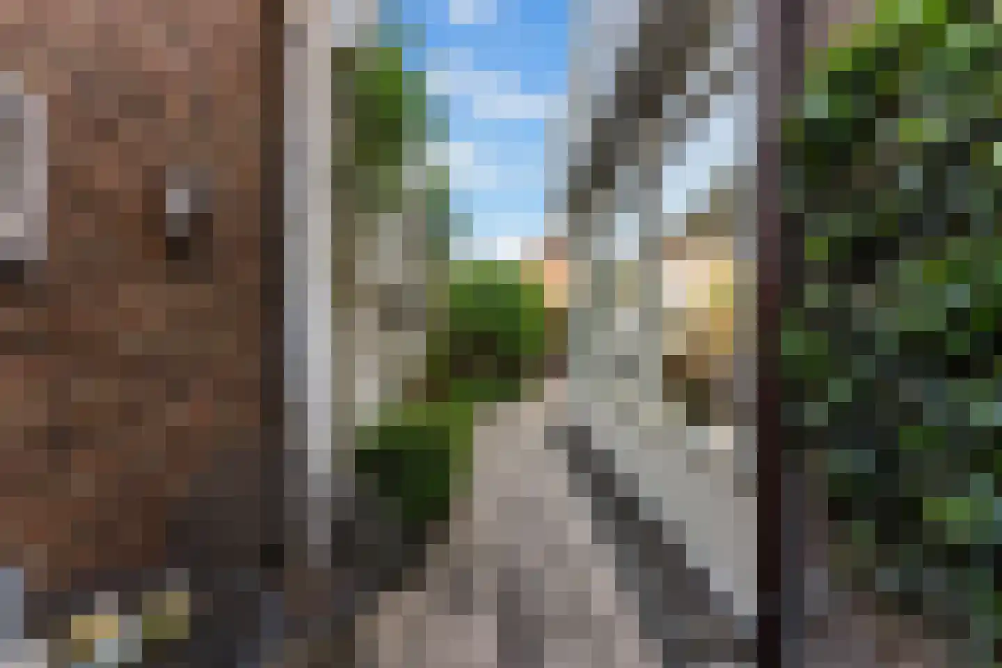 Langeweg 300 Zwijndrecht thumbnail 34