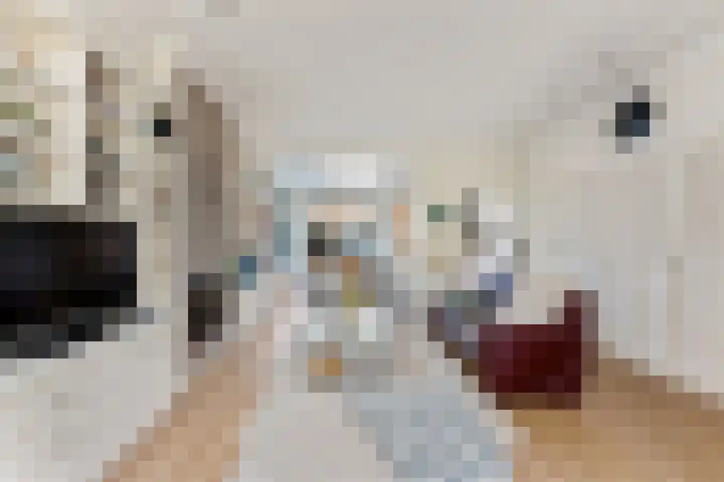 Langeweg 300 Zwijndrecht thumbnail 6