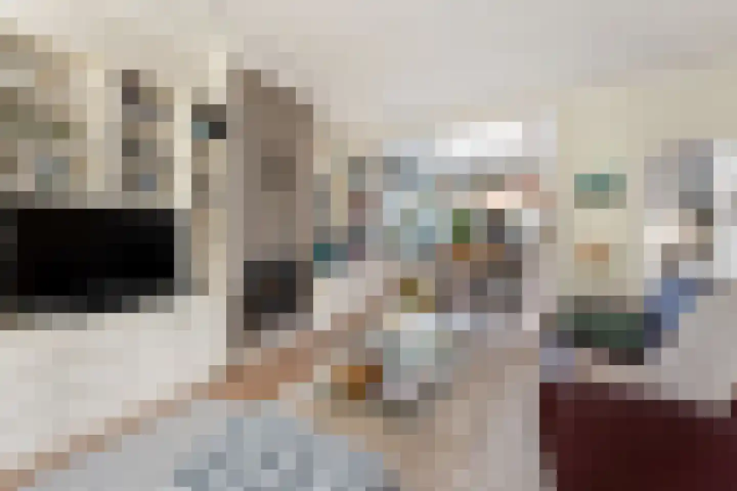 Langeweg 300 Zwijndrecht thumbnail 8