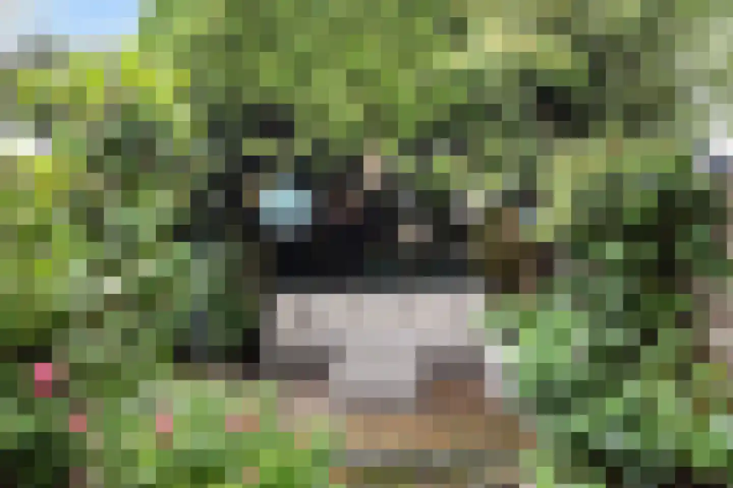 Langeweg 33 Apeldoorn thumbnail 10