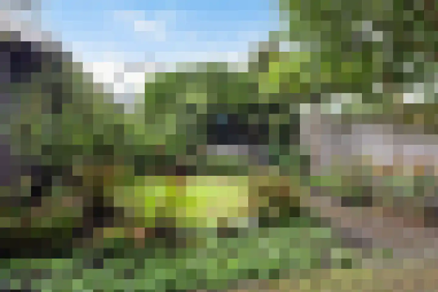 Langeweg 33 Apeldoorn thumbnail 11