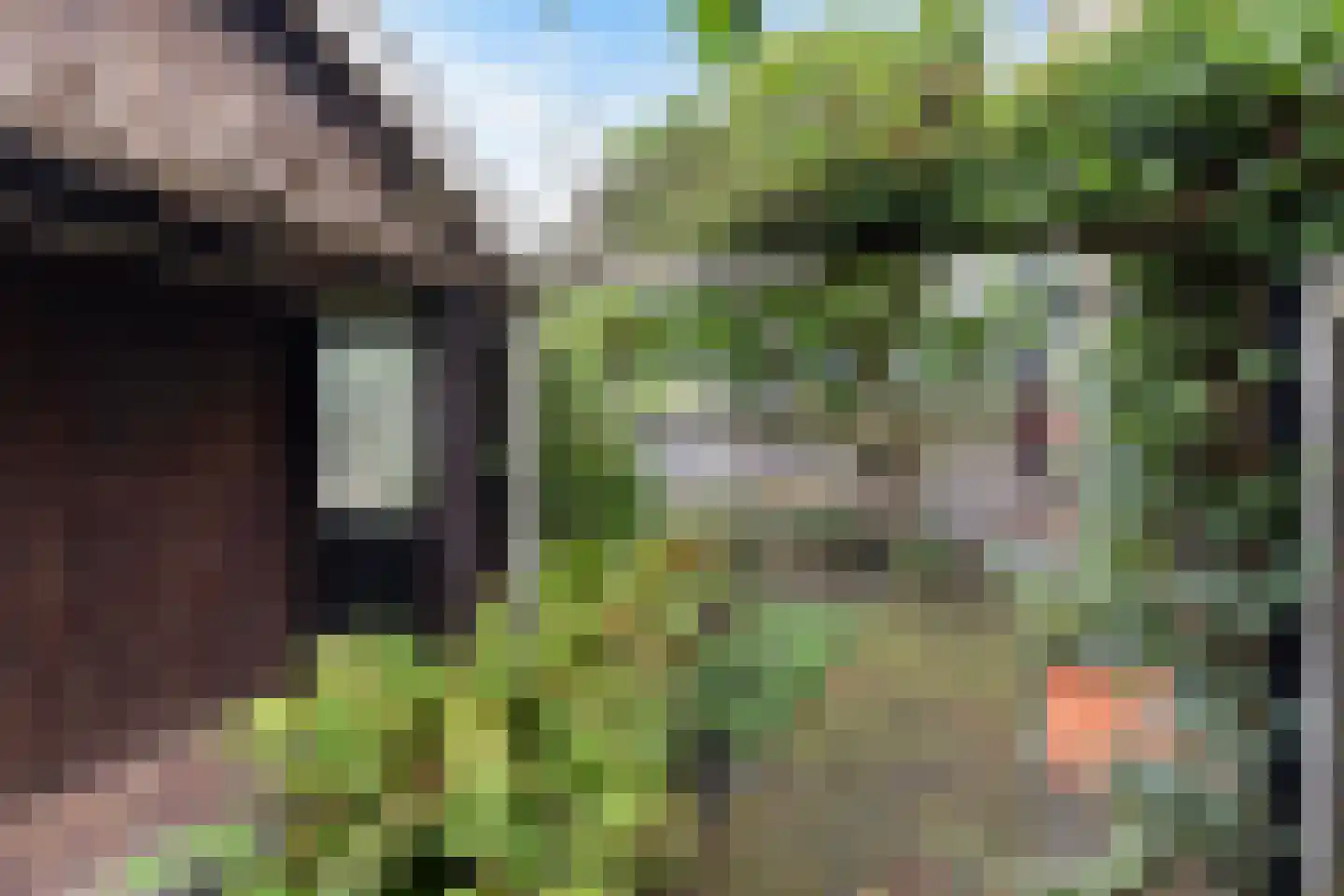 Langeweg 33 Apeldoorn thumbnail 13