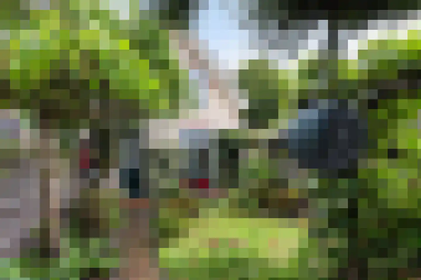 Langeweg 33 Apeldoorn thumbnail 14