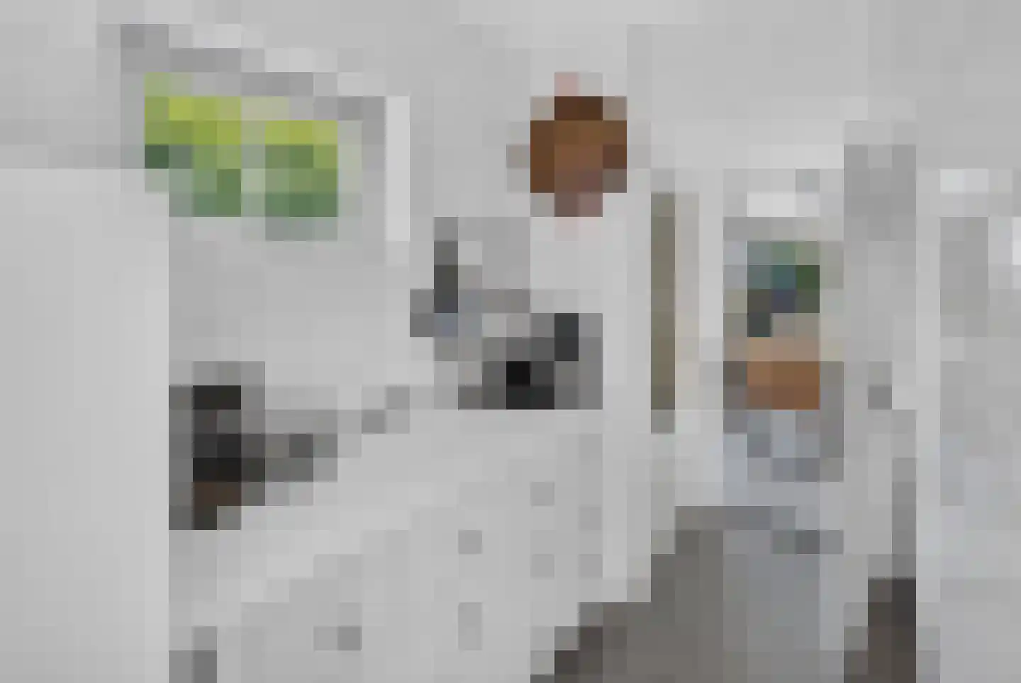 Langeweg 35 Oude-Tonge thumbnail 13