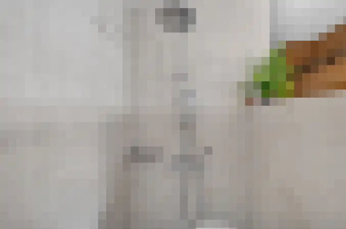 Langeweg 35 Oude-Tonge thumbnail 18